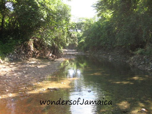 wondersofJamaica