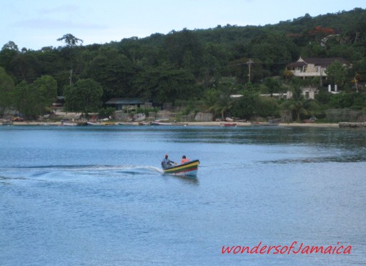 Image-wondersofJamaica